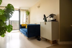 Photo 7- click for photo gallery